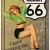 Placa metalica - Route 66 - 30x40 cm